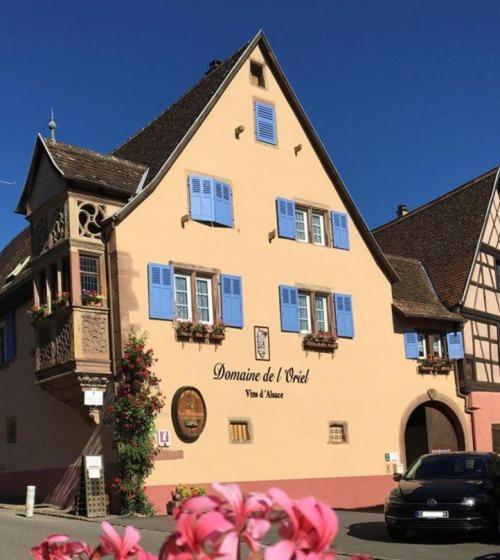 Les Vendangeurs Apartment Niedermorschwihr ภายนอก รูปภาพ